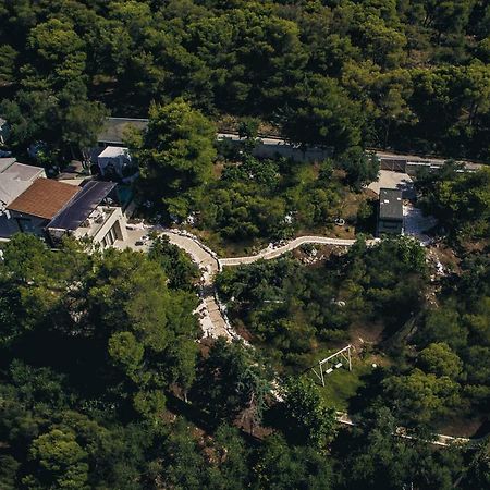 Villa Evangelia ハニア エクステリア 写真
